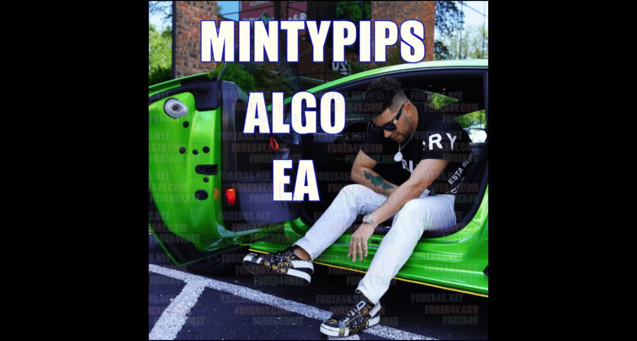 photo_2024-10-15_00-35-07 MINTYPIPS ALGO EA v1