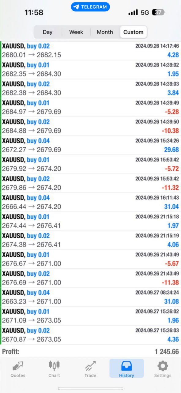 photo_2024-12-04_23-00-29 AI trading bot MT4 v3.0